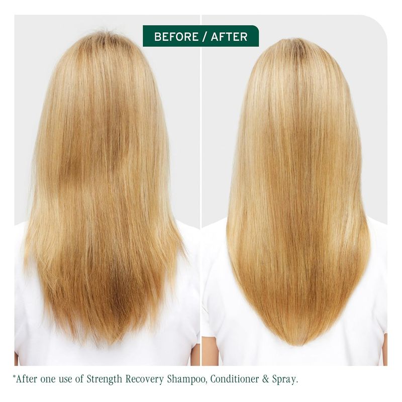 Biolage - Strength Recovery - Revitalisant Concentré Renforcateur (1L)