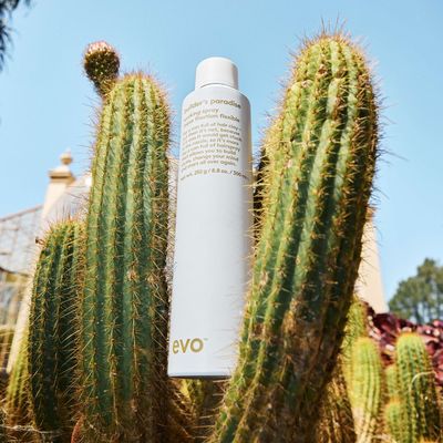 Evo Styling - Builder's Paradise Laque Fixation Flexible (300ml)