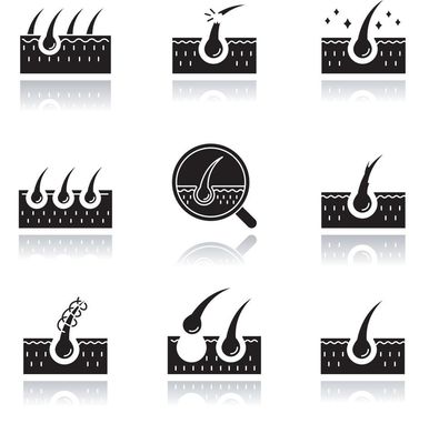 Chutes de Cheveux