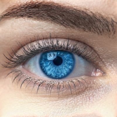 Yeux