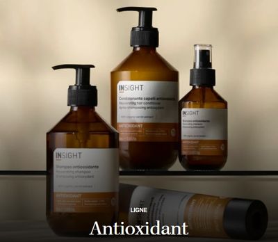 Insight - Anti-oxydant