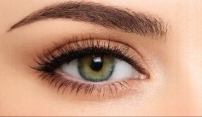 Olaplex - Cils et Sourcils : Visiblement plus Volumineux