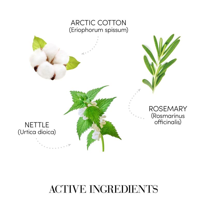 Medavita Hairchitecture - Shampooing Corporisant (1000ml)