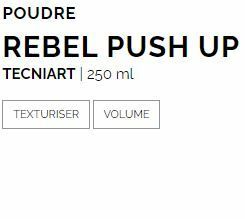 L'Oréal Pro - Tecni Art - Rebel Push-Up F4 (250ml/8.4oz)
