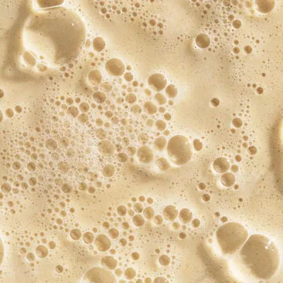 Dermalogica - Daily Milkfoliant - Poudre Exfoliante apaisante à l'Avoine (74g)