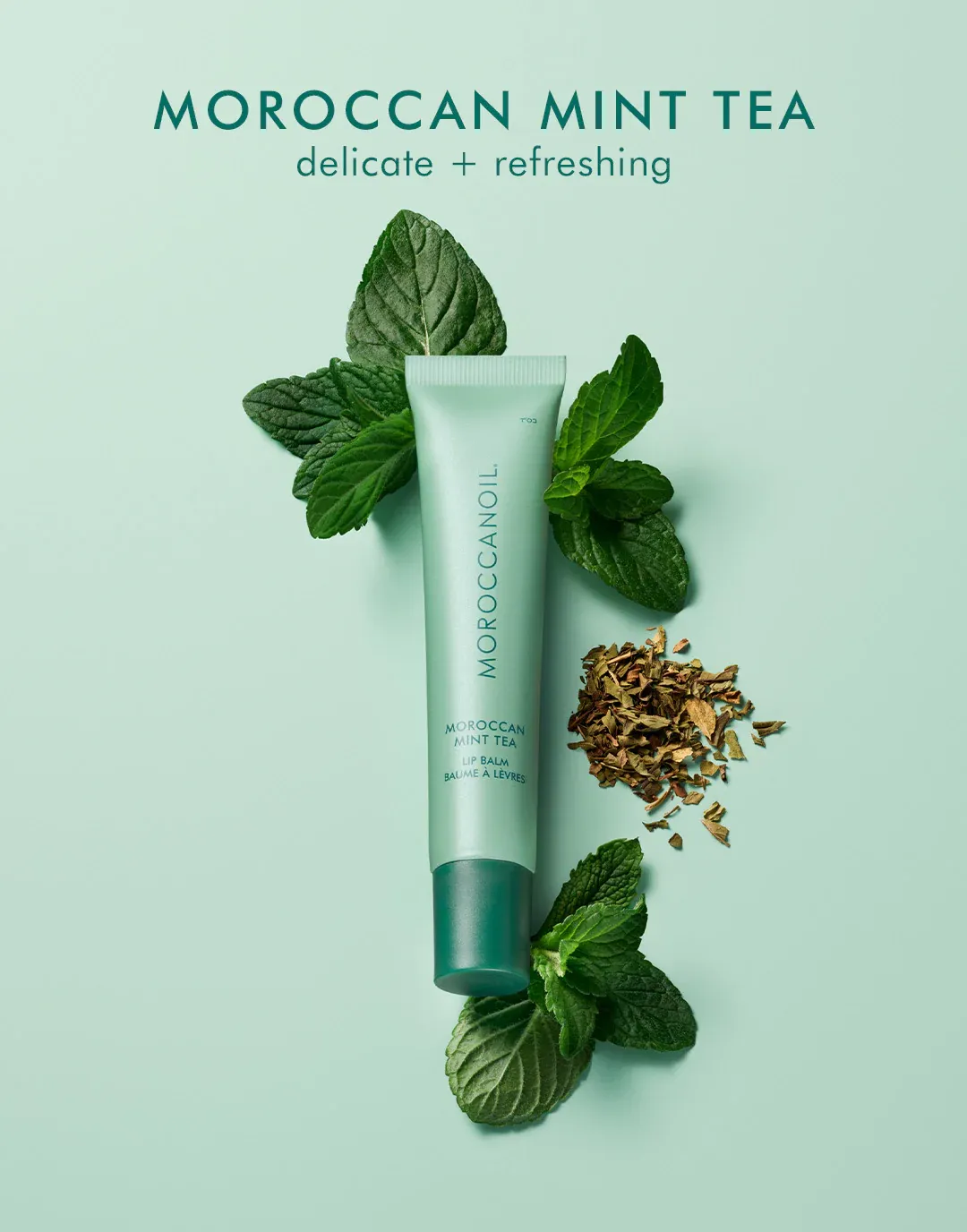 Moroccanoil Baume à Lèvres - Thé à la menthe (15ml)