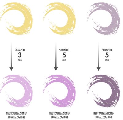 BES - Color Reflection Purple Game Shampoing (Pourpre) 300ml