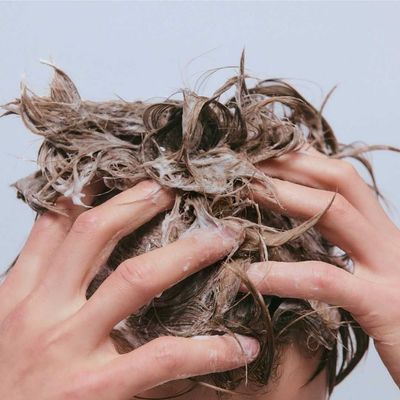Evo Scalp - Common Ground - Shampoing Cuir Chevelu (1L)