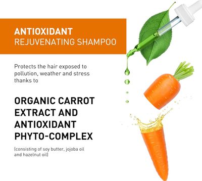 INSIGHT Antioxydant - Shampoing Antioxydant 100ml/3.4oz