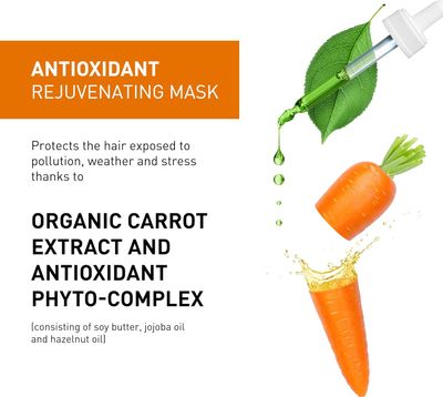 INSIGHT Antioxydant - Masque Antioxydant (Tube) 200ml/6.8oz
