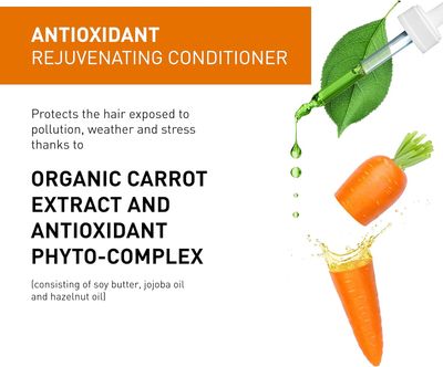 INSIGHT Antioxydant - Revitalisant Antioxydant 900ml/30oz