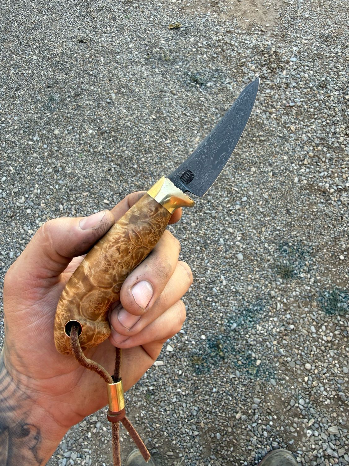 Stainless Damascus Capeing Knife