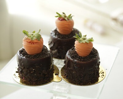 Chocolate Mousse Garden