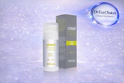 cimel MAINTENANCE