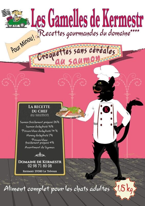 Croquettes sans céréales saumon pour chat  : les gamelles de kermestr