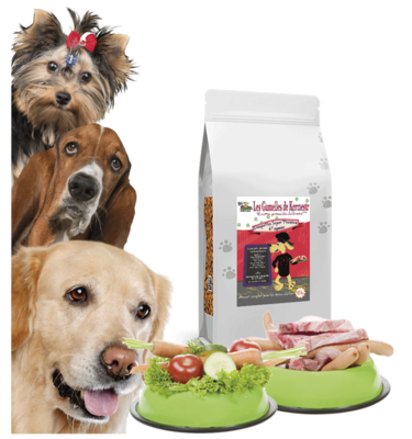 Croquettes pour chiens à haute valeur nutritive.