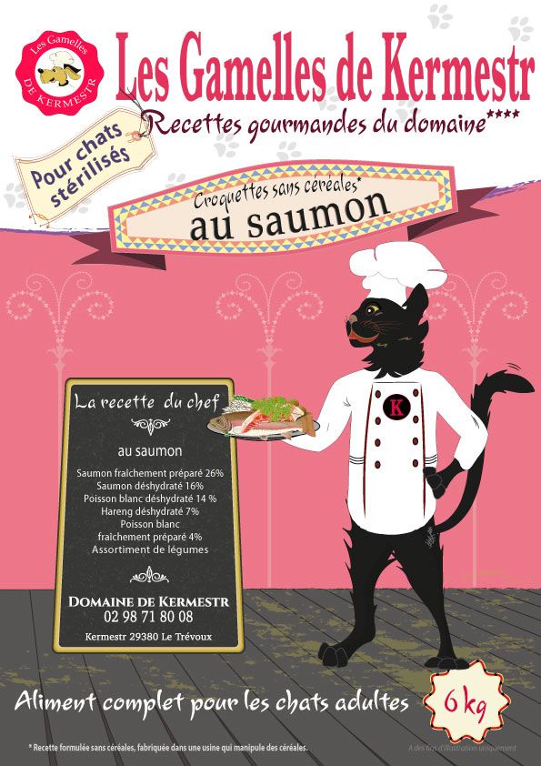 Croquettes sans céréales au SAUMON pour chat stérilisé - Sachet de 1,5 et 6kg - à partir de