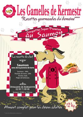 Croquettes pour chien, super premium saumon pommes de terres : les gamelles de kermestr