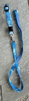 Set - Leine 1,2 m + Halsband 36-55 cm