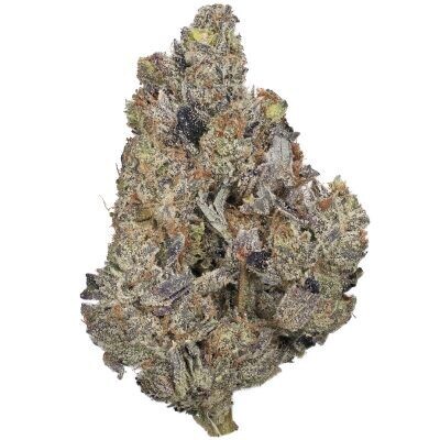 High Octane Indica - 17.6% THC