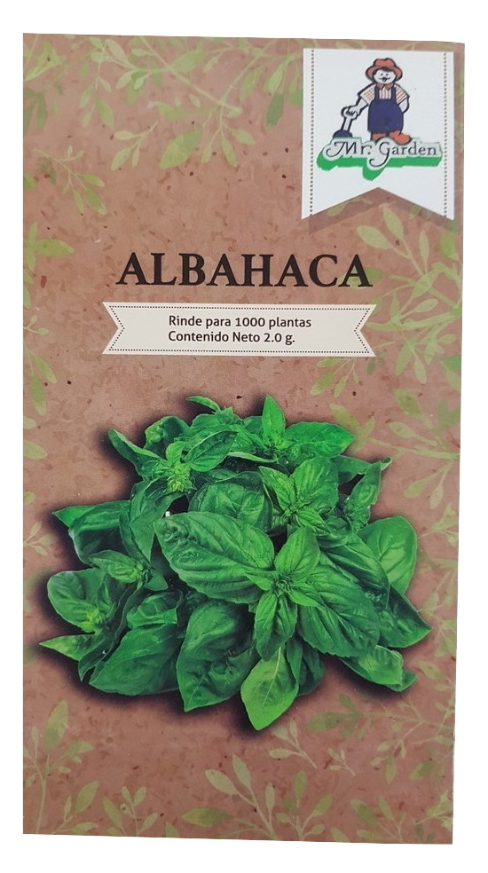 Semilla Albahaca