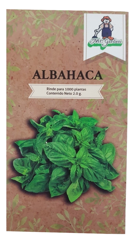 Semilla Albahaca