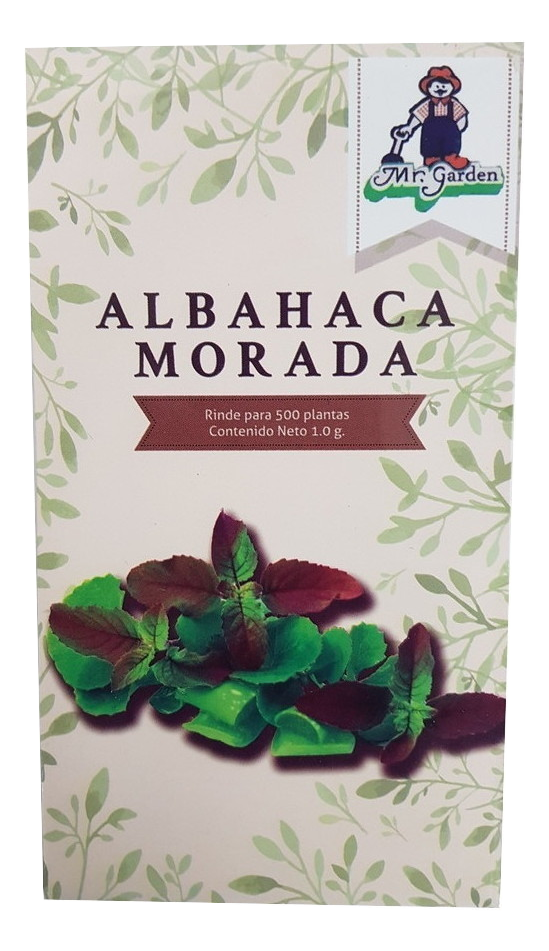 Semilla Albahaca Morada