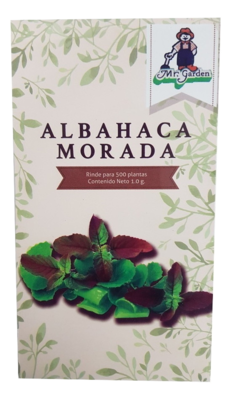 Semilla Albahaca Morada