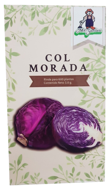 Semilla Col Morada