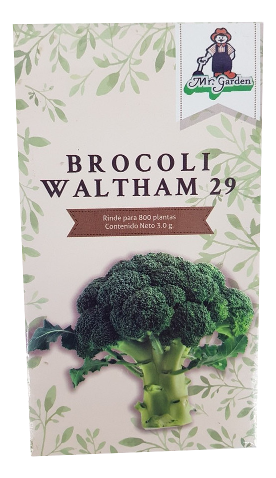 Semilla Brocoli Waltham 29