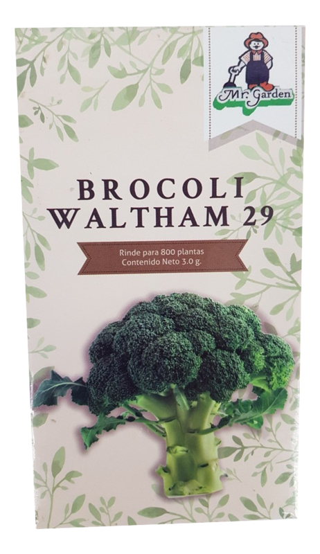 Semilla Brocoli Waltham 29