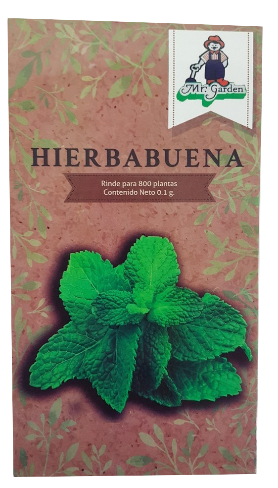 Semilla Hierbabuena