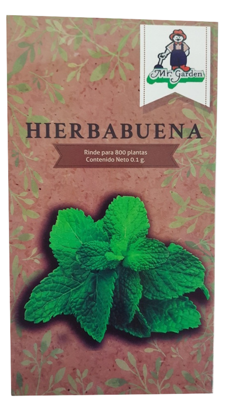 Semilla Hierbabuena