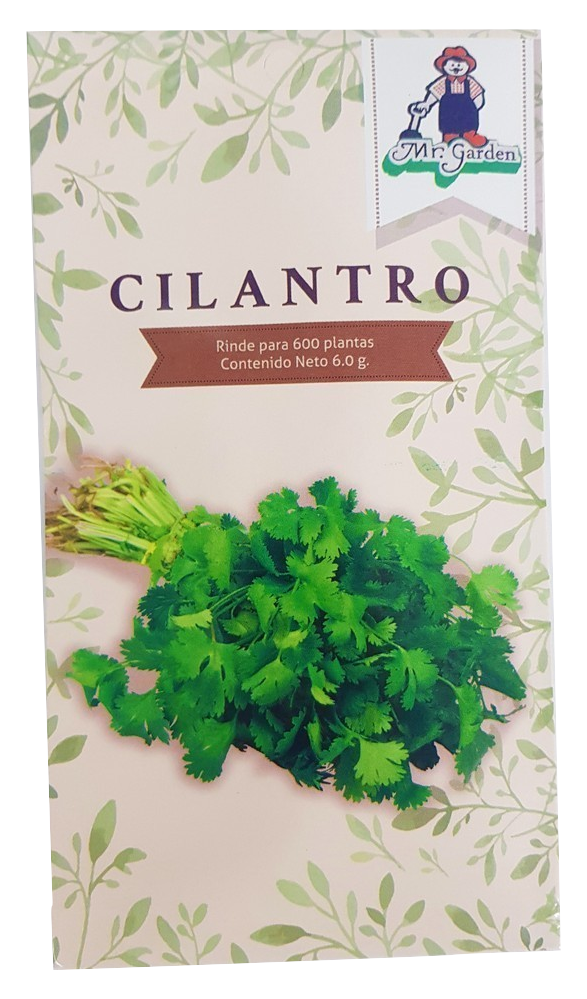 Semilla Cilantro