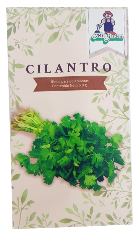 Semilla Cilantro