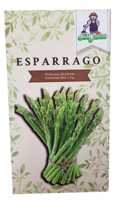 Semilla Esparrago