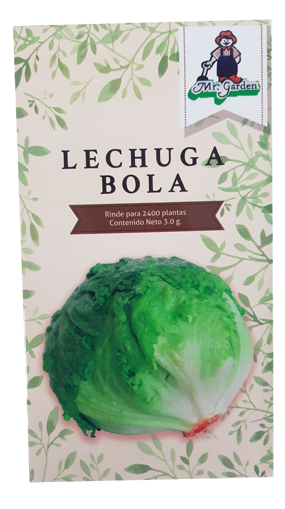Semilla Lechuga Bola