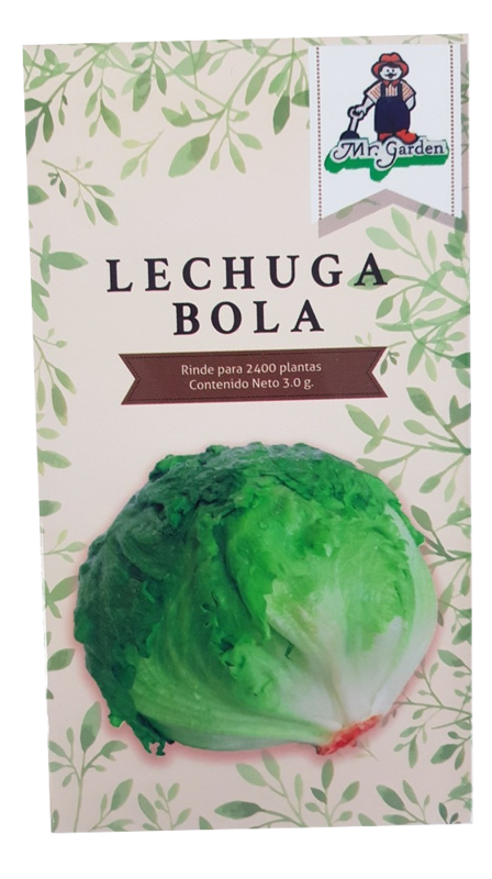 Semilla Lechuga Bola
