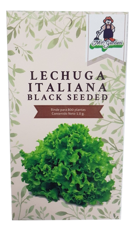 Semilla Lechuga Italiana