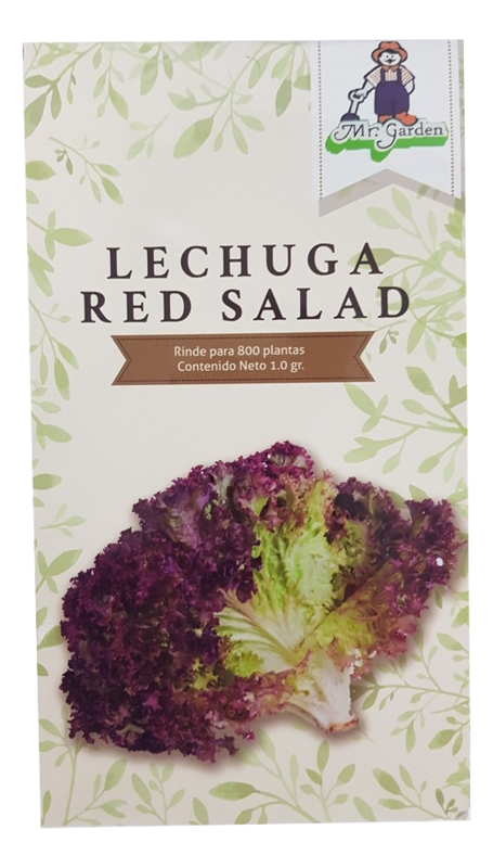 Semilla Lechuga Red Salad
