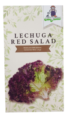 Semilla Lechuga Red Salad