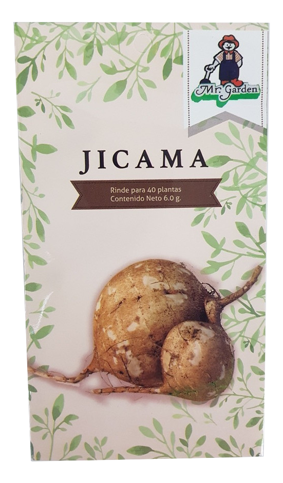 Semilla Jicama