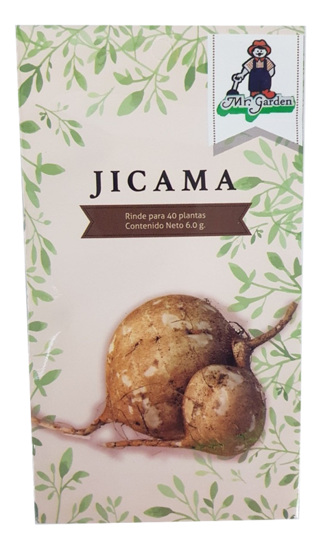 Semilla Jicama