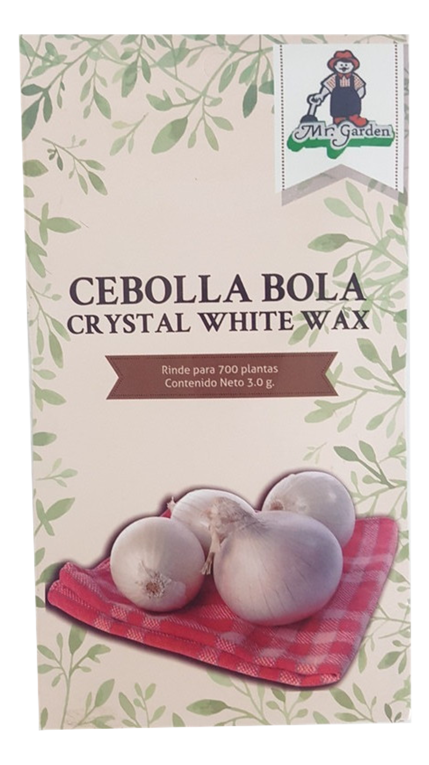 Semilla Cebolla Bola