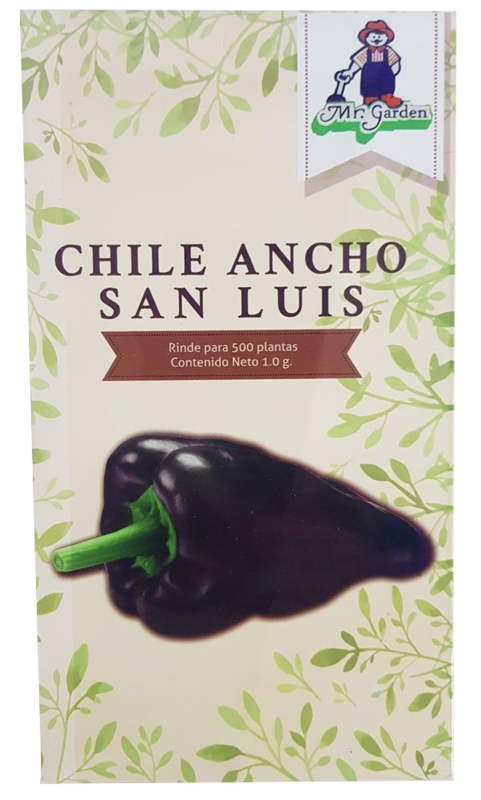 Semilla Chile Ancho San Luis