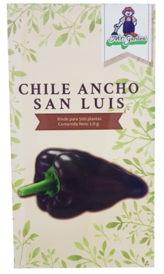 Semilla Chile Ancho San Luis