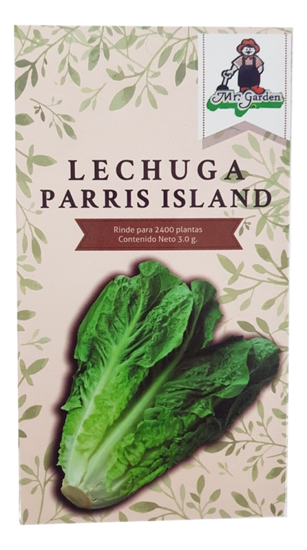 Semilla Lechuga Parris Island