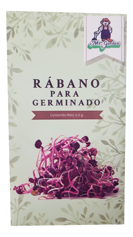 Semilla Rábano Para Germinado