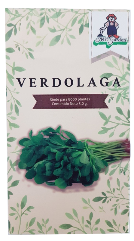 Semilla Verdolaga
