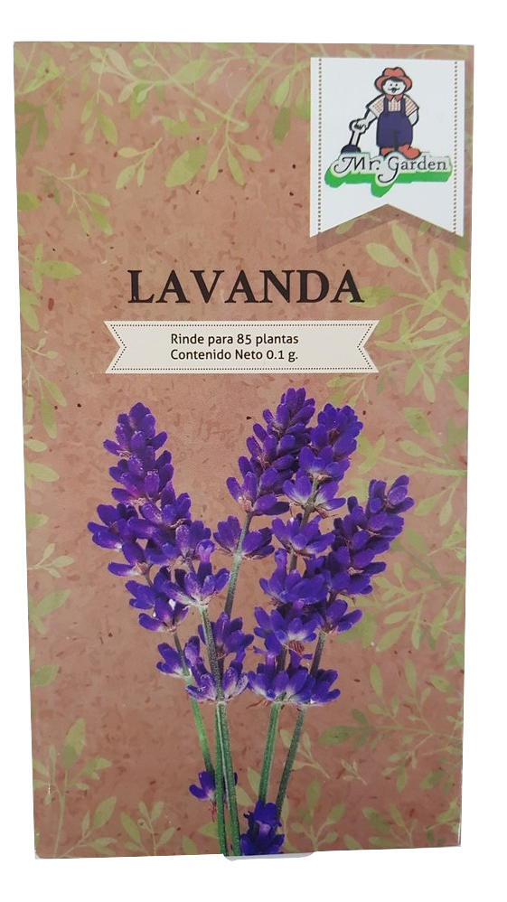 Semilla Lavanda